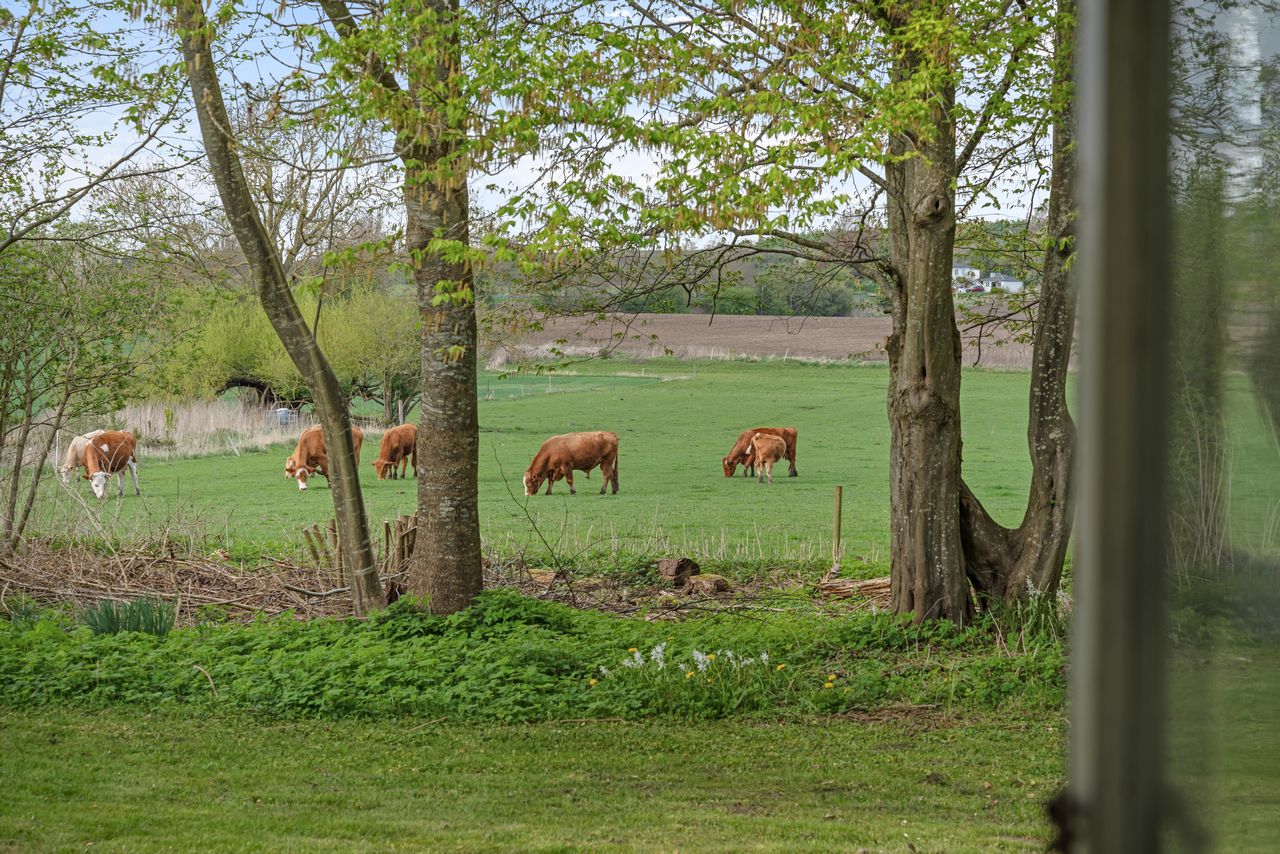 image 03
